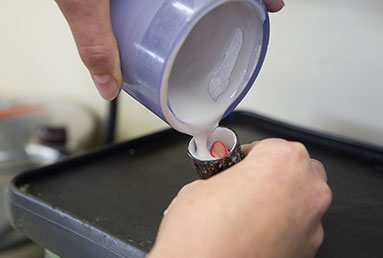 Denecke Laborarbeiten